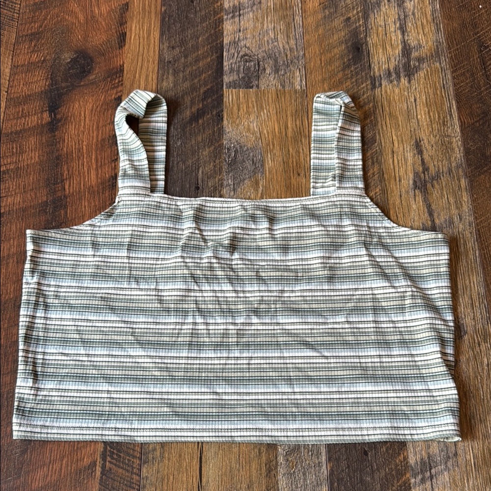 American Eagle Outfitters White, Blue, and Green Striped Crop Tank